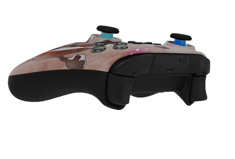 BC Xbox X/S 94861