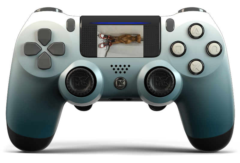 Burn PS4 102884
