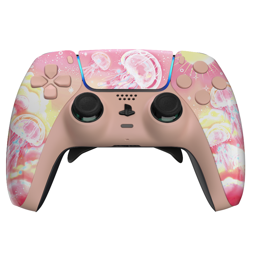 Manette PS5 à Palettes - Progression