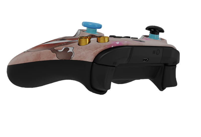 BC Xbox X/S 94338
