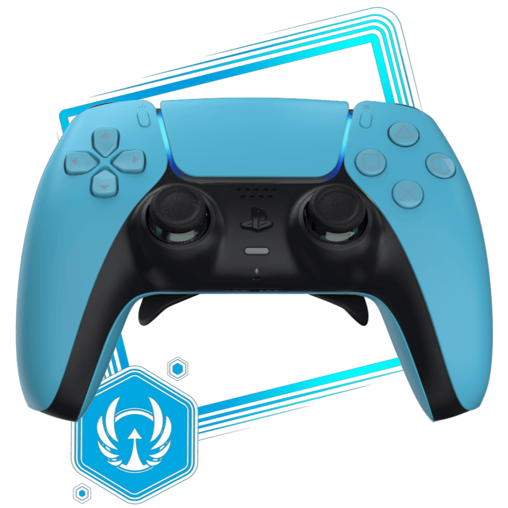 manette ps5 palettes burn controllers